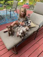 processed/c82af7d3-7f04-4d6e-b2c3-b4ea183ed2f7/listing/f147ec82-5924-4afd-8e01-f2c804007c1f/d0b71d0a-12e5-4596-bc74-0b997a200ae8