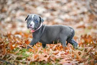 processed/c82c6f94-ef0b-4861-92f0-e09a26ddd4b2/facility/0e01b694-62e5-42f6-9499-f5604f85766c