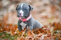 processed/c82c6f94-ef0b-4861-92f0-e09a26ddd4b2/facility/155ab0db-8ac0-4c80-ba3c-770967c33b28