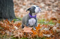 processed/c82c6f94-ef0b-4861-92f0-e09a26ddd4b2/facility/2bc10792-2b17-4be4-a29c-e009d674d370