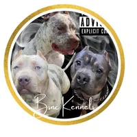 processed/c82c6f94-ef0b-4861-92f0-e09a26ddd4b2/facility/36a1d193-4919-4f31-bc35-cb0927872ed1