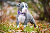 processed/c82c6f94-ef0b-4861-92f0-e09a26ddd4b2/facility/7d512725-46ef-4a4a-802a-0ebb1bc9a419