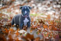 processed/c82c6f94-ef0b-4861-92f0-e09a26ddd4b2/facility/c636d796-b8fc-4e5c-a4e5-3b0b603cecc1