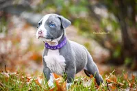 processed/c82c6f94-ef0b-4861-92f0-e09a26ddd4b2/facility/d3c9b95f-0f94-4866-8450-0db4f6a805bf