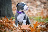 processed/c82c6f94-ef0b-4861-92f0-e09a26ddd4b2/facility/ec3f3216-f27b-4005-ab50-fe7f83b50a08