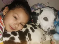 Jolly, a female Dalmatian for sale in Winchester, OH – 2 of 9