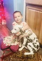 Jolly, a female Dalmatian for sale in Winchester, OH – 8 of 9