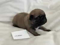 processed/c83386ba-c004-4a42-ad68-764ed10223e7/facility/18038d6a-608f-47d7-8637-26a96e1559d3