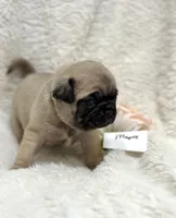 processed/c83386ba-c004-4a42-ad68-764ed10223e7/listing/2198b42b-4f2e-415a-a6cc-5e5c6d4f206c/e1f8060b-eb8a-4739-8ac6-e3f9147b8222