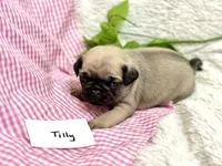 processed/c83386ba-c004-4a42-ad68-764ed10223e7/listing/6f0f6b9d-00c4-4c1b-a490-ffb1d0435f51/5e148913-4016-4e81-a3f6-ddaa27d0021a