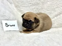 processed/c83386ba-c004-4a42-ad68-764ed10223e7/listing/763b1d0c-cb19-4281-b0a0-6f32179222f9/52e2fed4-e939-4c8c-985b-64ec76a83776