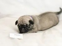 processed/c83386ba-c004-4a42-ad68-764ed10223e7/listing/91b06fa7-2f00-4c98-b625-197fb300685b/30f831bc-864f-4fd2-8b28-3e1fbacba806