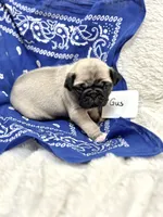 processed/c83386ba-c004-4a42-ad68-764ed10223e7/listing/c3dd1f73-5b0e-486c-8bfe-b7ee9166aa19/88f0b937-1580-4d09-ba80-2ed9eff0f871