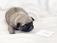 processed/c83386ba-c004-4a42-ad68-764ed10223e7/listing/ca53b114-c831-4a53-9aa0-3e2a1fc29e68/2f330f34-429a-40bf-9647-f8de49f2ed97