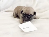 processed/c83386ba-c004-4a42-ad68-764ed10223e7/listing/f48f45a4-16e1-4ffe-b182-36690638a239/6673982a-f0c7-4ced-b94a-762f3af63b27