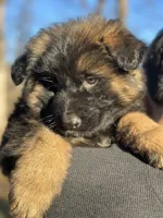 processed/c8342ec6-be2d-4161-bdf9-58bb0c1b142b/listing/143f2d1a-9ab1-4d3f-b23c-2fcd8403f48e/96020162-1993-4022-95b9-3a9d4d7995ce