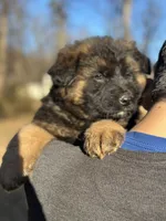 processed/c8342ec6-be2d-4161-bdf9-58bb0c1b142b/listing/143f2d1a-9ab1-4d3f-b23c-2fcd8403f48e/a113f55d-456b-4897-b64c-6854c723ec58