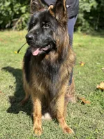 processed/c8342ec6-be2d-4161-bdf9-58bb0c1b142b/listing/143f2d1a-9ab1-4d3f-b23c-2fcd8403f48e/a83361a2-4349-4faa-9596-7d0b4235665e