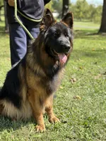 processed/c8342ec6-be2d-4161-bdf9-58bb0c1b142b/listing/143f2d1a-9ab1-4d3f-b23c-2fcd8403f48e/b61ce3e6-abec-4b77-9cfc-6448dad9d7a8