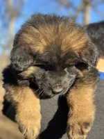 processed/c8342ec6-be2d-4161-bdf9-58bb0c1b142b/listing/143f2d1a-9ab1-4d3f-b23c-2fcd8403f48e/cff06f16-b0dd-447a-af06-20fd9ef4b2a2