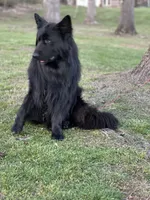 processed/c8342ec6-be2d-4161-bdf9-58bb0c1b142b/listing/143f2d1a-9ab1-4d3f-b23c-2fcd8403f48e/e11b7ab9-ed52-4774-8df5-87400a067686