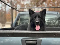 processed/c8342ec6-be2d-4161-bdf9-58bb0c1b142b/listing/143f2d1a-9ab1-4d3f-b23c-2fcd8403f48e/e9128145-4c64-47e5-ae0e-0ec1d0789d10