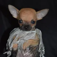 processed/c83a05f5-a2ee-4b7d-9aaa-85c5e834278f/facility/844a8aab-37a7-409e-b658-7d45f10ff698