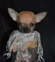 processed/c83a05f5-a2ee-4b7d-9aaa-85c5e834278f/facility/844a8aab-37a7-409e-b658-7d45f10ff698