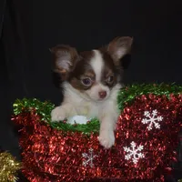 processed/c83a05f5-a2ee-4b7d-9aaa-85c5e834278f/facility/89ad9294-bdeb-4e84-b9d5-8f446c268288