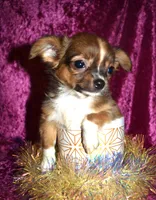 processed/c83a05f5-a2ee-4b7d-9aaa-85c5e834278f/listing/359fb911-5ae8-48f6-bf66-e505e3ea3235/057c9dc3-a06d-401a-83fd-55b5051a15a7