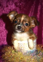 processed/c83a05f5-a2ee-4b7d-9aaa-85c5e834278f/listing/359fb911-5ae8-48f6-bf66-e505e3ea3235/63d664a9-f34d-471f-b3fb-3eaaa195df67