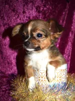 processed/c83a05f5-a2ee-4b7d-9aaa-85c5e834278f/listing/359fb911-5ae8-48f6-bf66-e505e3ea3235/a0e37000-1aa8-4261-95c6-647ab71852a4