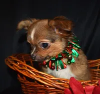 processed/c83a05f5-a2ee-4b7d-9aaa-85c5e834278f/listing/359fb911-5ae8-48f6-bf66-e505e3ea3235/f967ee37-3425-4e64-b59e-4bd679c36078