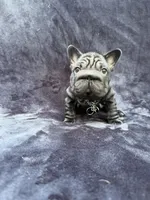 Diesel, a male French Bulldog for sale in Sanford, NC – 3 of 5