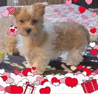 processed/c83cf6e3-4dee-4940-897a-31bc63f015dc/listing/4f026678-1713-4e8a-bedb-f78ef025d102/0f1277e7-505a-4039-812a-6a817d4a5525