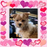 processed/c83cf6e3-4dee-4940-897a-31bc63f015dc/listing/4f026678-1713-4e8a-bedb-f78ef025d102/f3436333-6715-4dfe-a1cf-c9429485d05c