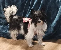 processed/c83cf6e3-4dee-4940-897a-31bc63f015dc/listing/521d1fee-444a-4bd8-84d2-a1b564d4c03f/150044b4-db82-48d8-ab5f-36b519ab3aad