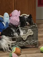 processed/c83cf6e3-4dee-4940-897a-31bc63f015dc/listing/521d1fee-444a-4bd8-84d2-a1b564d4c03f/212ea255-5e38-4891-9f29-e76859166382