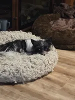 processed/c83cf6e3-4dee-4940-897a-31bc63f015dc/listing/521d1fee-444a-4bd8-84d2-a1b564d4c03f/54d6d5ac-d073-416a-9ba8-c6a3f970cd89