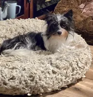 processed/c83cf6e3-4dee-4940-897a-31bc63f015dc/listing/521d1fee-444a-4bd8-84d2-a1b564d4c03f/5f610c6d-3ba7-423f-8d85-3885d2a21a26