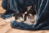 processed/c83cf6e3-4dee-4940-897a-31bc63f015dc/listing/521d1fee-444a-4bd8-84d2-a1b564d4c03f/ff796558-82a3-4ccb-a532-fc7064c84575