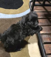 processed/c83cf6e3-4dee-4940-897a-31bc63f015dc/listing/795c71a3-5138-4ef1-9006-e0f03667a068/6985e875-d7d1-404c-8b76-a33424e4b1a6