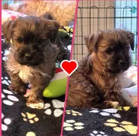 processed/c83cf6e3-4dee-4940-897a-31bc63f015dc/listing/7b40e8f1-10f2-4a29-98fb-85af6b31e9fb/4f3788cd-ea29-48b7-b4af-1bdc03afa282