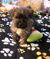 processed/c83cf6e3-4dee-4940-897a-31bc63f015dc/listing/7b40e8f1-10f2-4a29-98fb-85af6b31e9fb/a909df19-fe7a-44c2-bfad-e358cb7ef27c