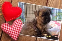 processed/c83cf6e3-4dee-4940-897a-31bc63f015dc/listing/7b40e8f1-10f2-4a29-98fb-85af6b31e9fb/bbcae447-7182-4645-bbb6-e80f4108e436