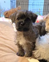 processed/c83cf6e3-4dee-4940-897a-31bc63f015dc/listing/7b40e8f1-10f2-4a29-98fb-85af6b31e9fb/cc2ca15c-691a-4e98-be23-ac5040edf75e