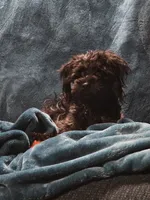 processed/c83cf6e3-4dee-4940-897a-31bc63f015dc/listing/7d57622c-65dd-4008-85b2-311ca941d856/1d68abf0-c36d-4bd0-a5ff-afb6bfc11502