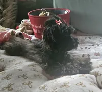 processed/c83cf6e3-4dee-4940-897a-31bc63f015dc/listing/7d57622c-65dd-4008-85b2-311ca941d856/33d36727-ab5e-4bfb-84bf-c4c6f4e58922