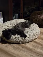 processed/c83cf6e3-4dee-4940-897a-31bc63f015dc/listing/7d57622c-65dd-4008-85b2-311ca941d856/561e9449-c813-4655-9fef-342a8eb7d8f7