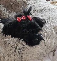 processed/c83cf6e3-4dee-4940-897a-31bc63f015dc/listing/7d57622c-65dd-4008-85b2-311ca941d856/c0c0f7d3-ee39-463b-b3b9-70e788403eb4